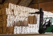 خرید و فروش شکر تصفیه شده برزیل